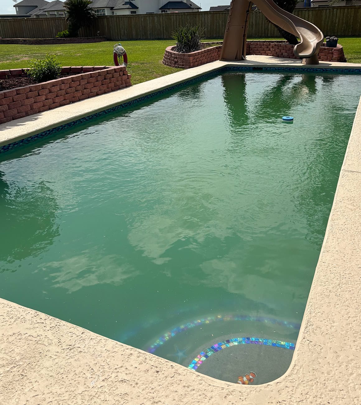 before professional pool cleaning