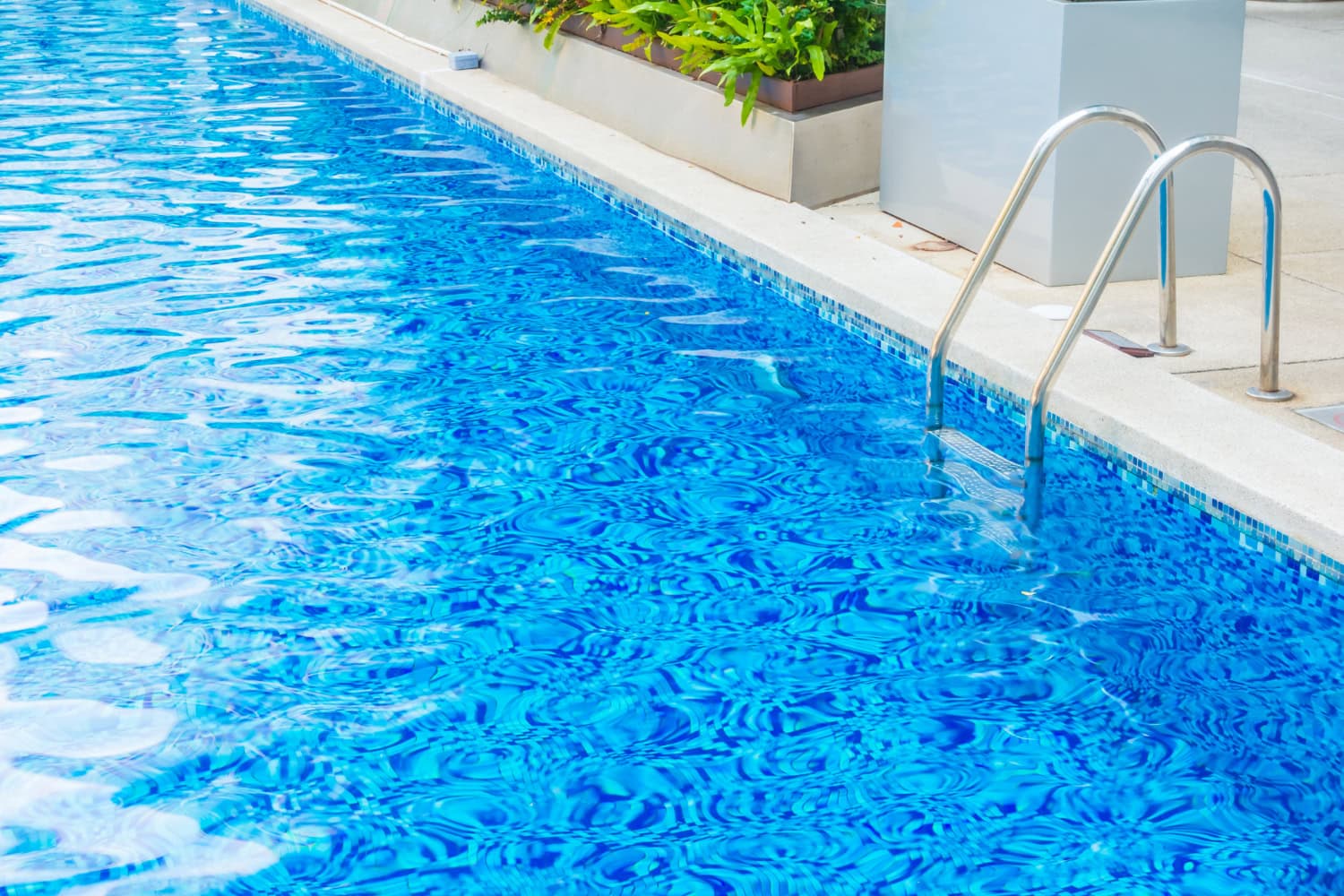 Outdoor swimming pool with clear blue water, metal ladder, tiled edge, and plants in planters along the side—perfect for relaxing or troubleshooting water flow issues like a potential pool pump air lock.