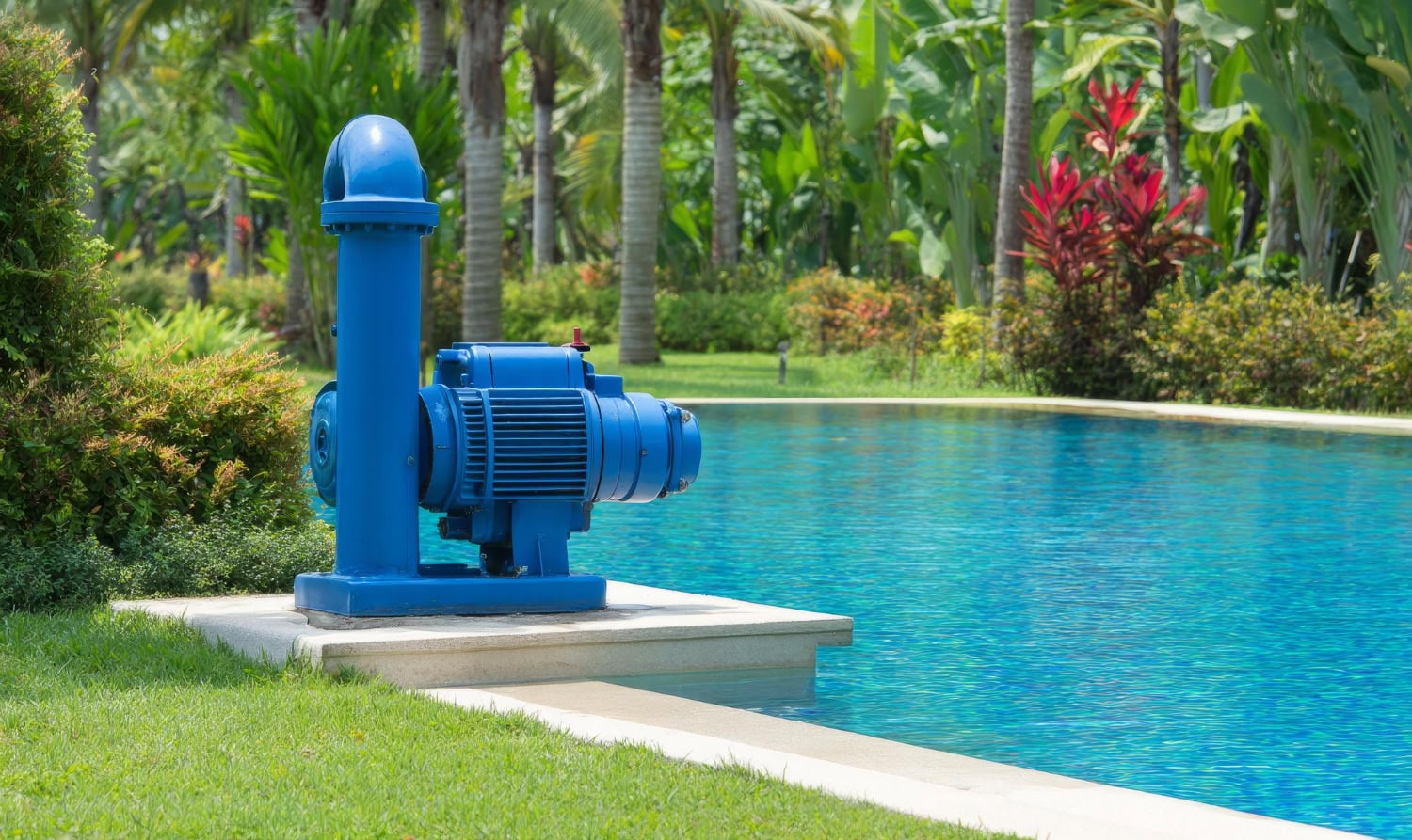 A blue pool pump and filtration system, installed beside an outdoor swimming pool and lush tropical plants, ensures clear water. Professional pool repair can help address any pool pump timer problems for optimal performance.