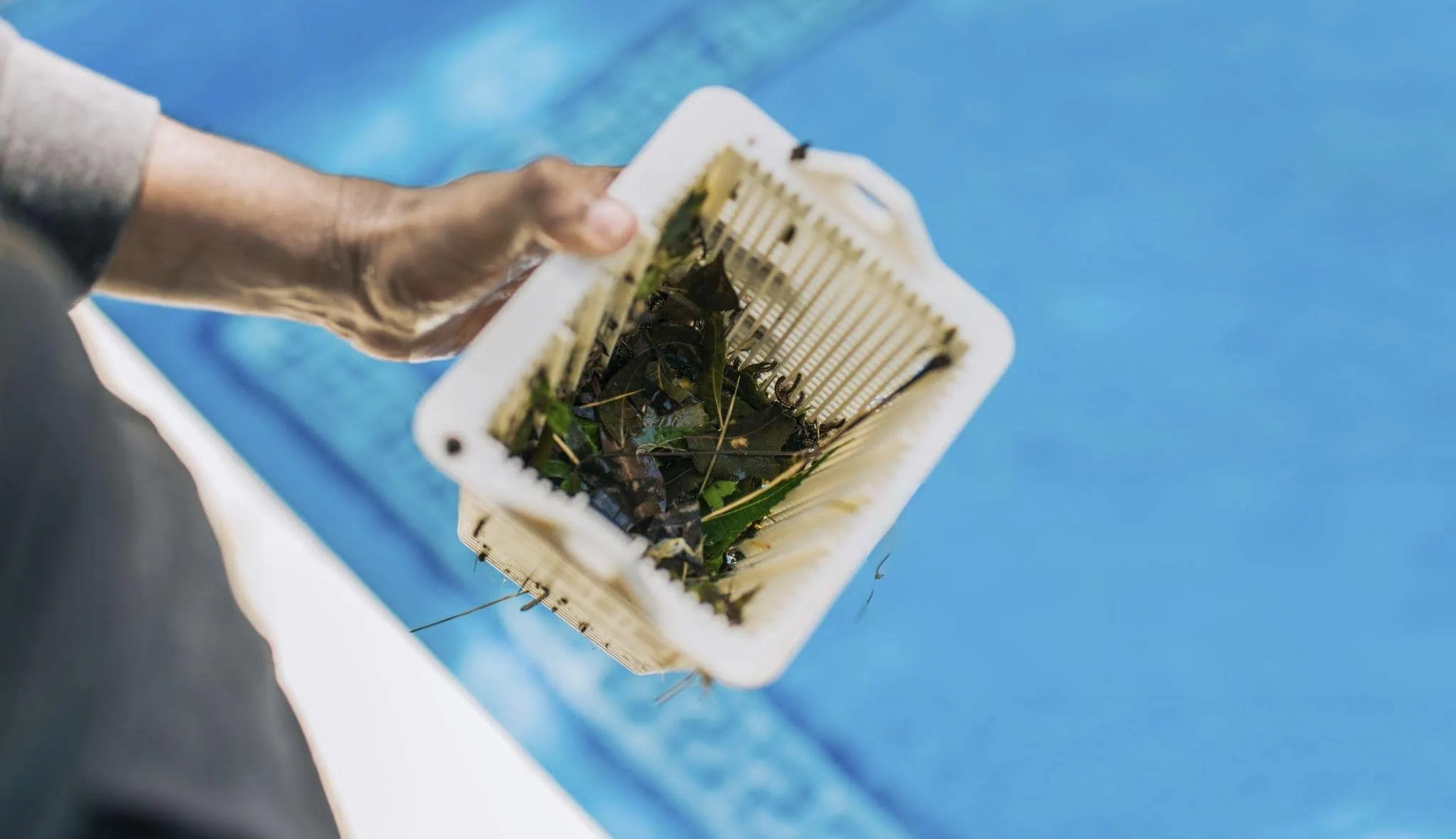 pool skimmer