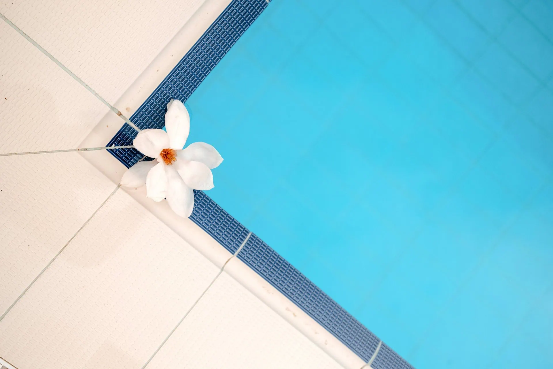 weekly pool maintenance