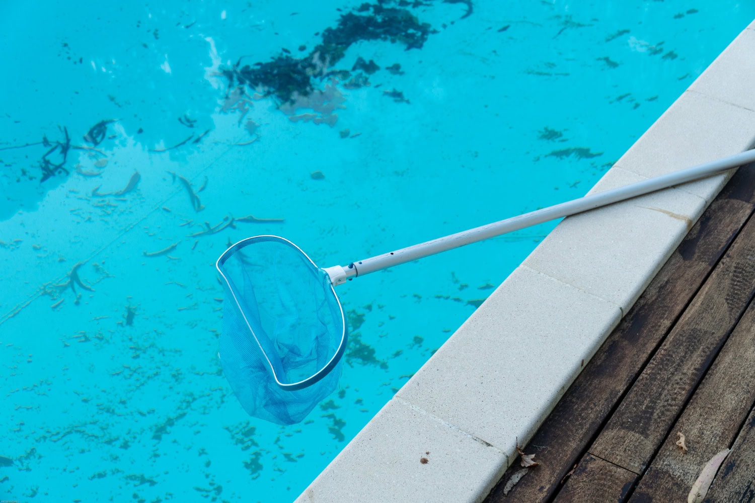 Blue pool skimmer resting on the edge of a swimming pool with debris in the water, illustrating pool cleaning essentials for maintenance.